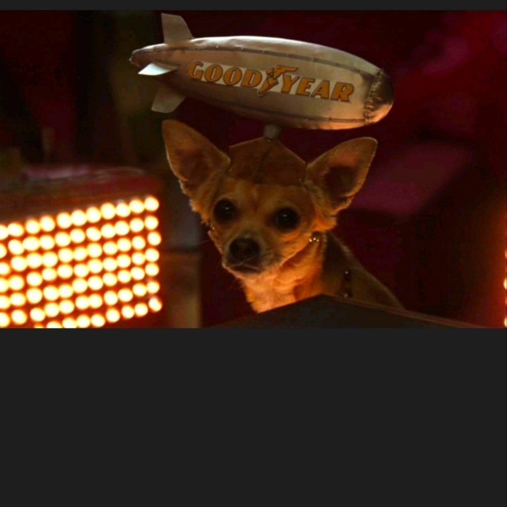 Official Movie Prop! Legally Blonde 2, Bruiser Woods' Goodyear Blimp Hat View 5